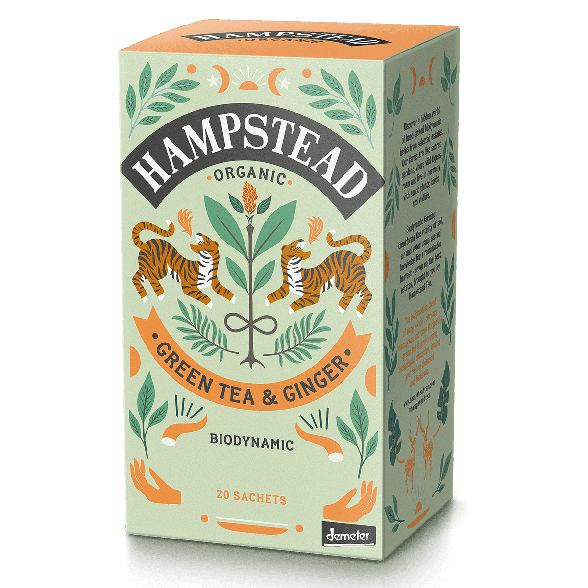 Hampstead grøn te og ingefær - 20 breve